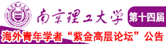 骚逼b视频网站南京理工大学第十四届海外青年学者紫金论坛诚邀海内外英才！